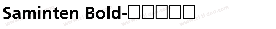 Saminten Bold字体转换